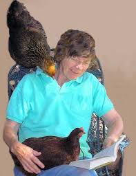 photo: Cary Neeper sits with a good book and two chicken friends